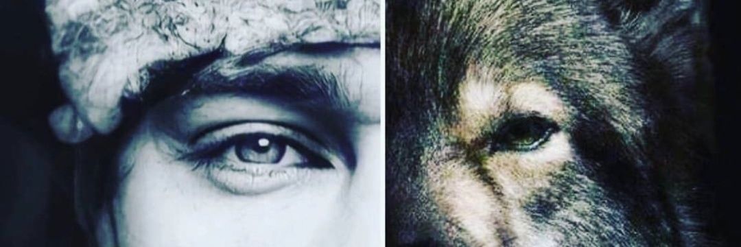 Barışcan Ata banner