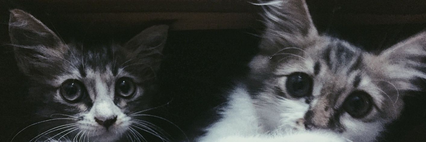 Aimann24's profile banner image