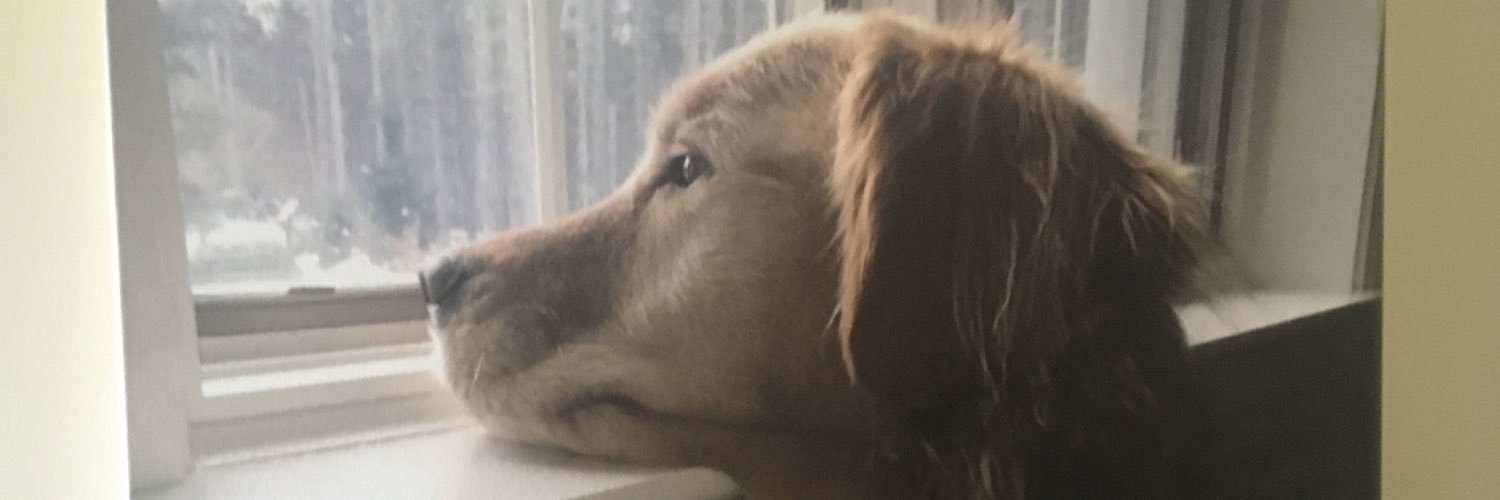 PhillyS14's profile banner image