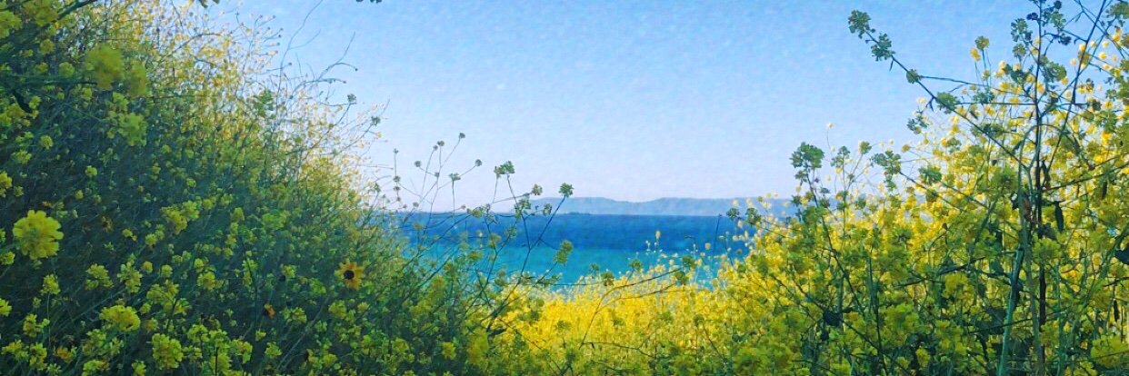 HarolddStyles's profile banner image