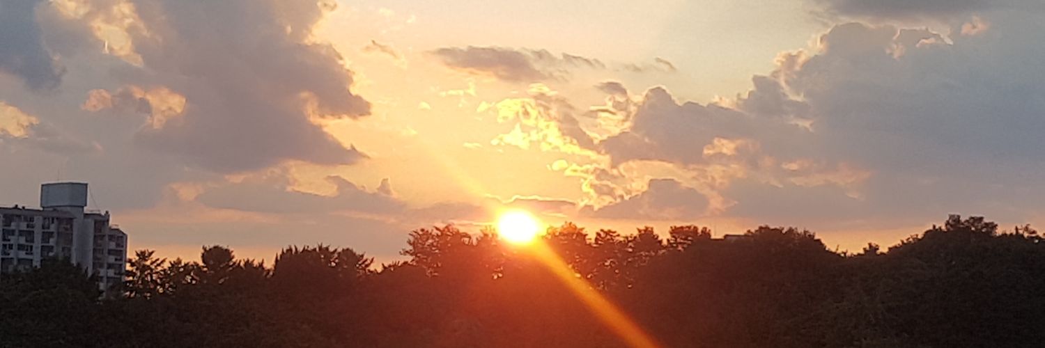 Sanele Malinga banner