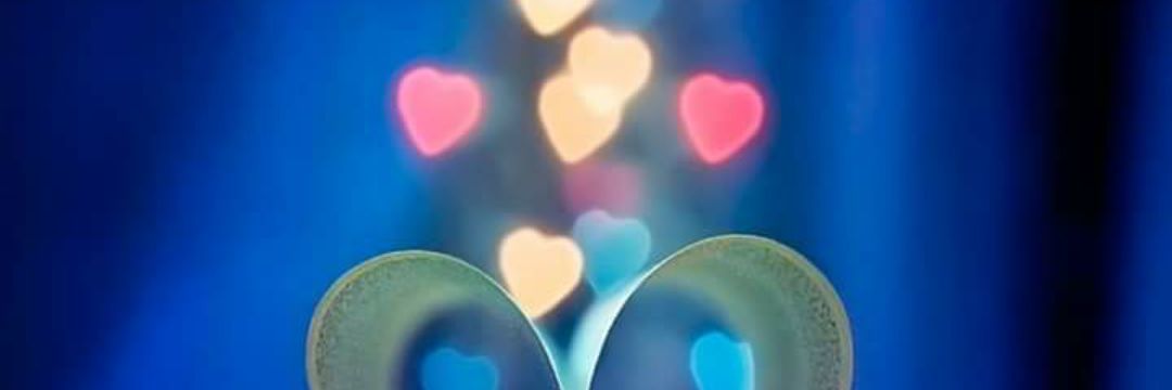muntehahilal's profile banner image