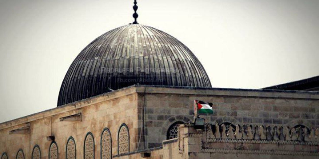 رضا الصدّر banner