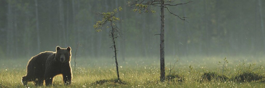 OtsoCastren's profile banner image
