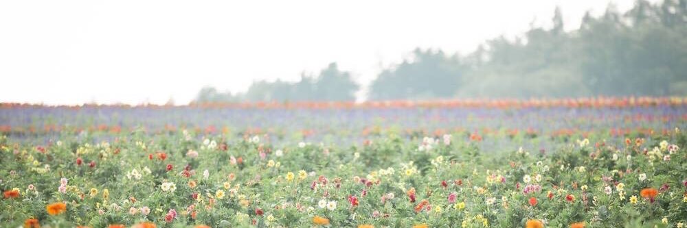 ym_7822's profile banner image