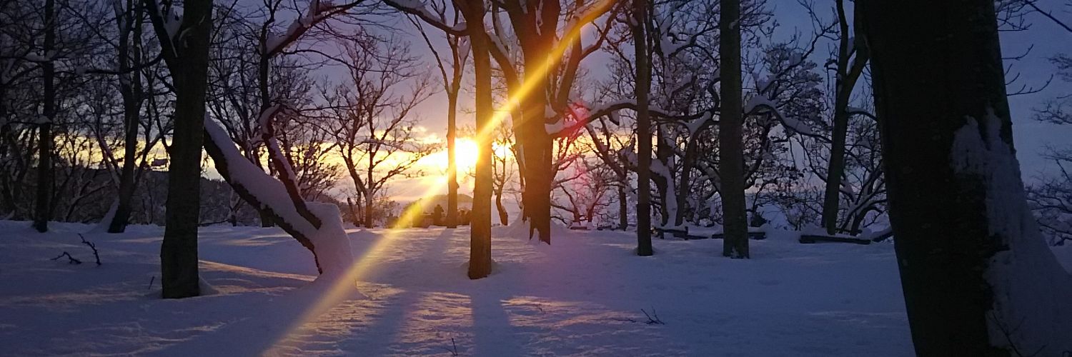 kakumeijisp's profile banner image