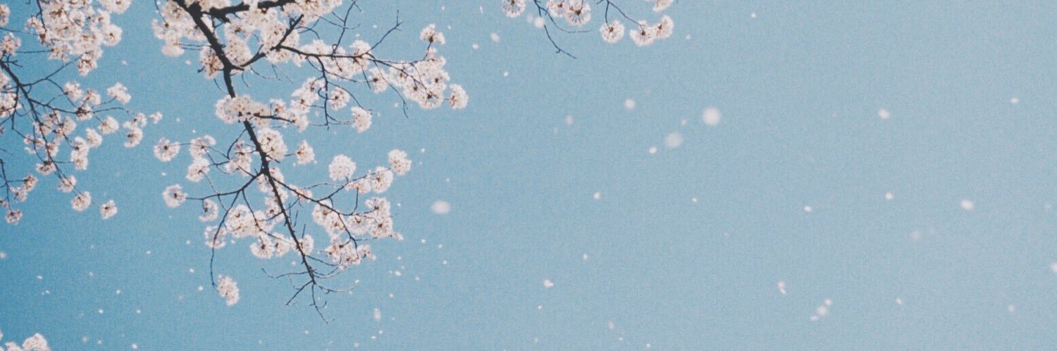 se jung banner