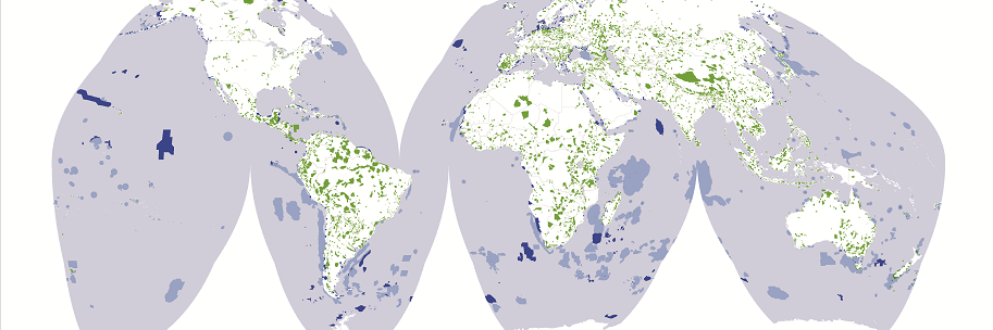 BirdLife Data Zone banner