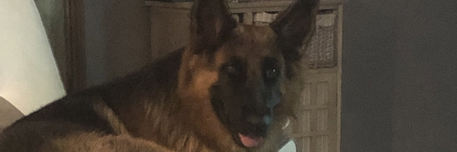 beverlybailleul's profile banner image