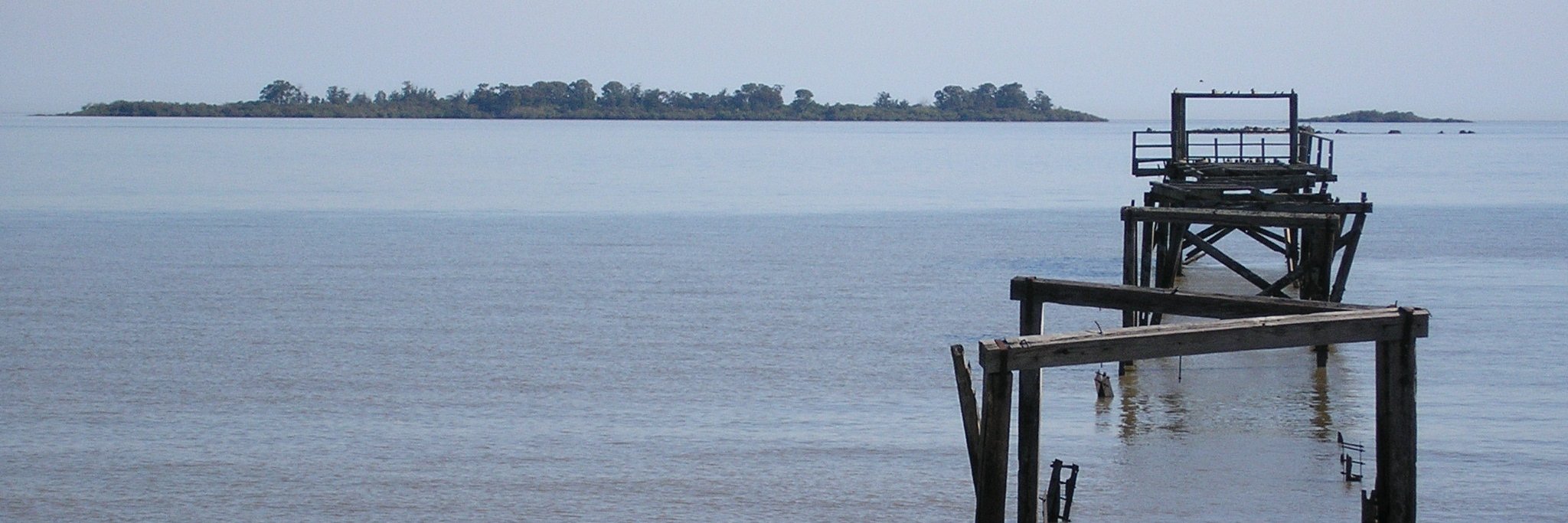 mariend1's profile banner image