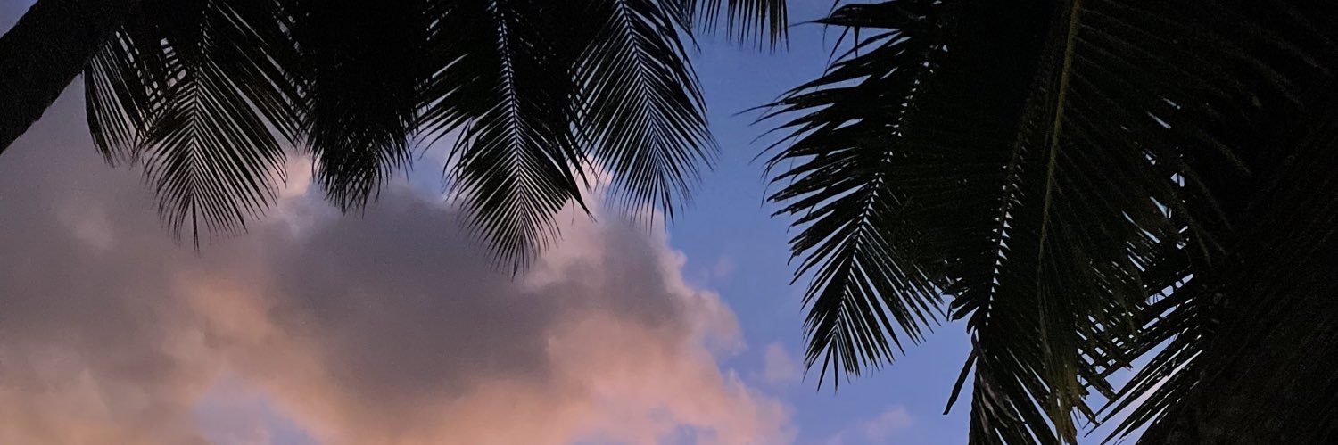 samvlibu's profile banner image