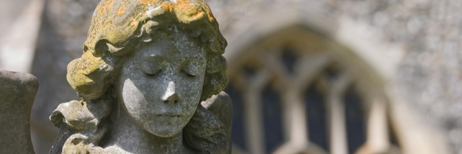 CDConservation's profile banner image