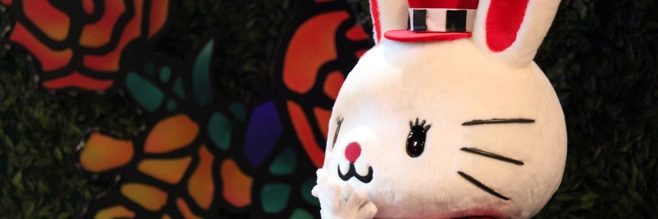 kaya_siec's profile banner image