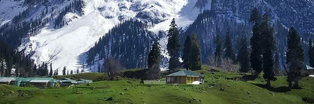 Roger Paez 🇺🇦🇻🇪🇪🇦🇺🇸 banner