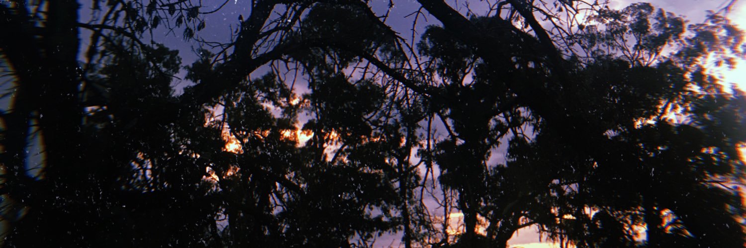 Paulimlopez's profile banner image