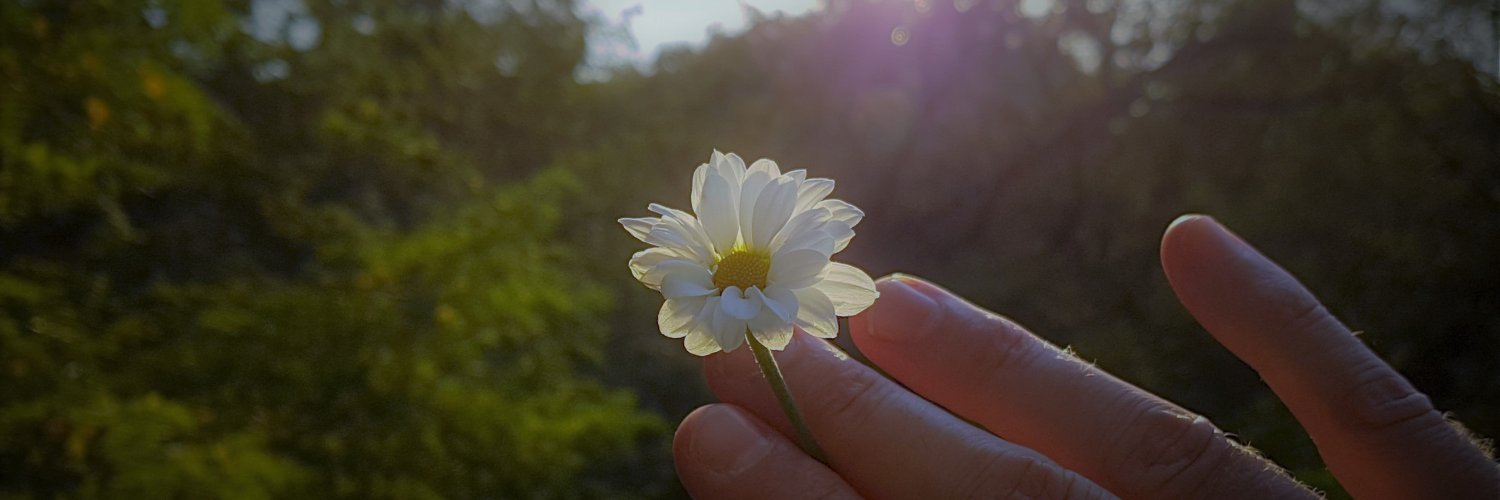 DigitalSoulCom's profile banner image
