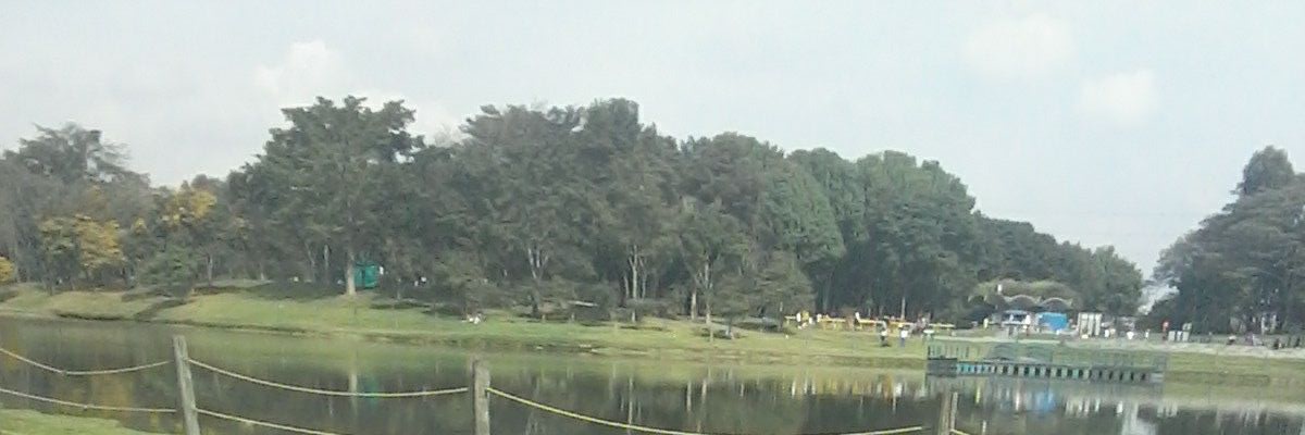 INGRIDR72105607's profile banner image