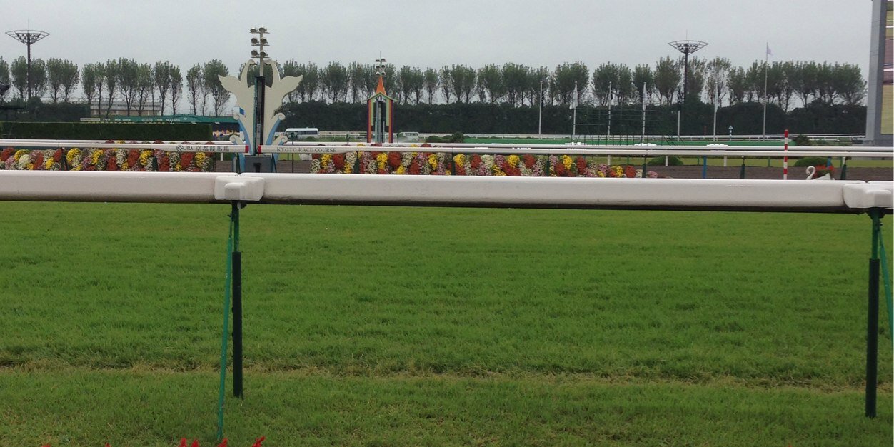 mi_piace02's profile banner image