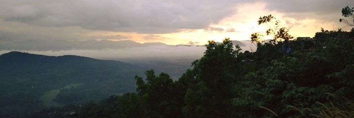 manusingh91's profile banner image