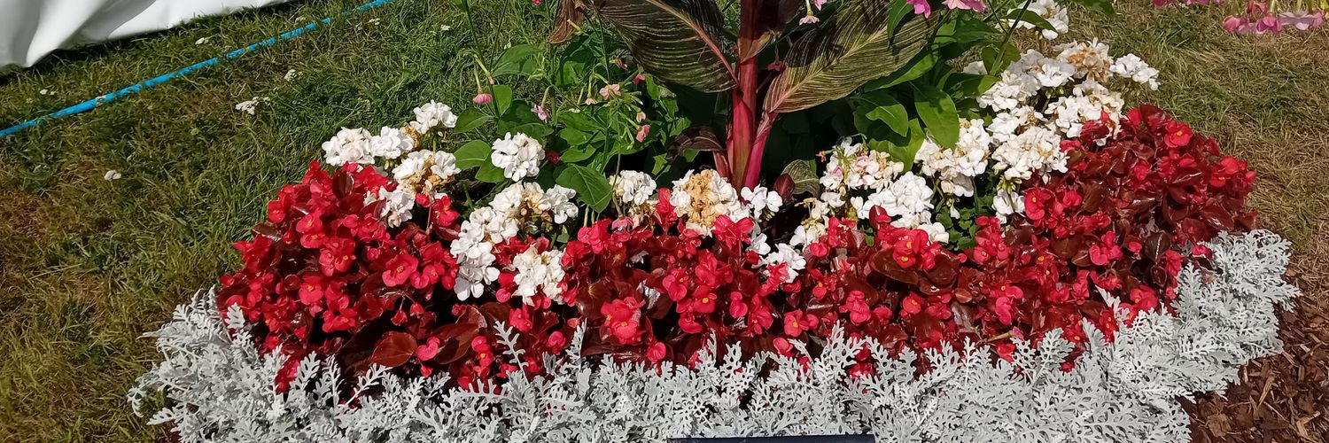 NokuMagaa's profile banner image