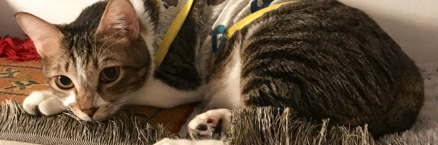 sawadikap baterkap banner