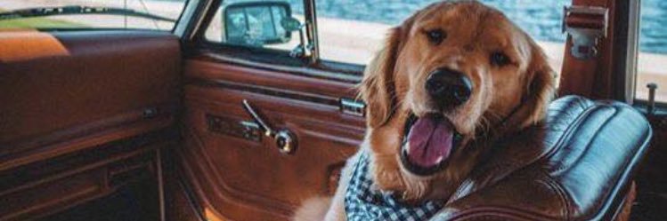 emilybenner03's profile banner image
