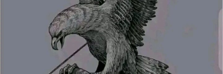 teshi61's profile banner image