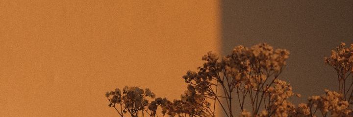dwimarantika66's profile banner image