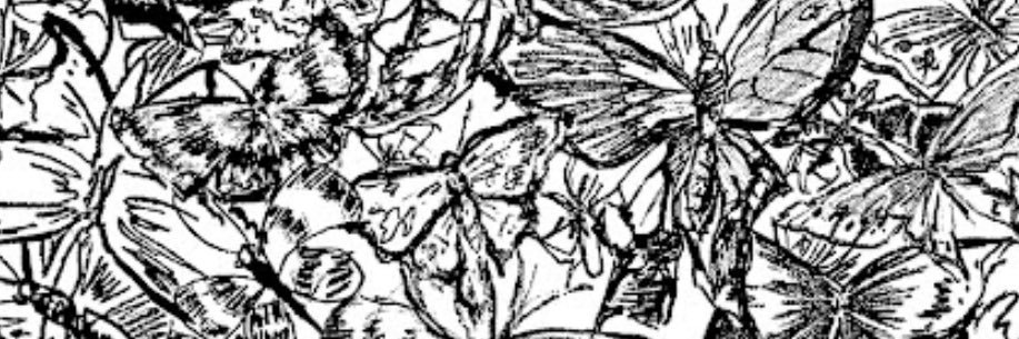 guflfc's profile banner image