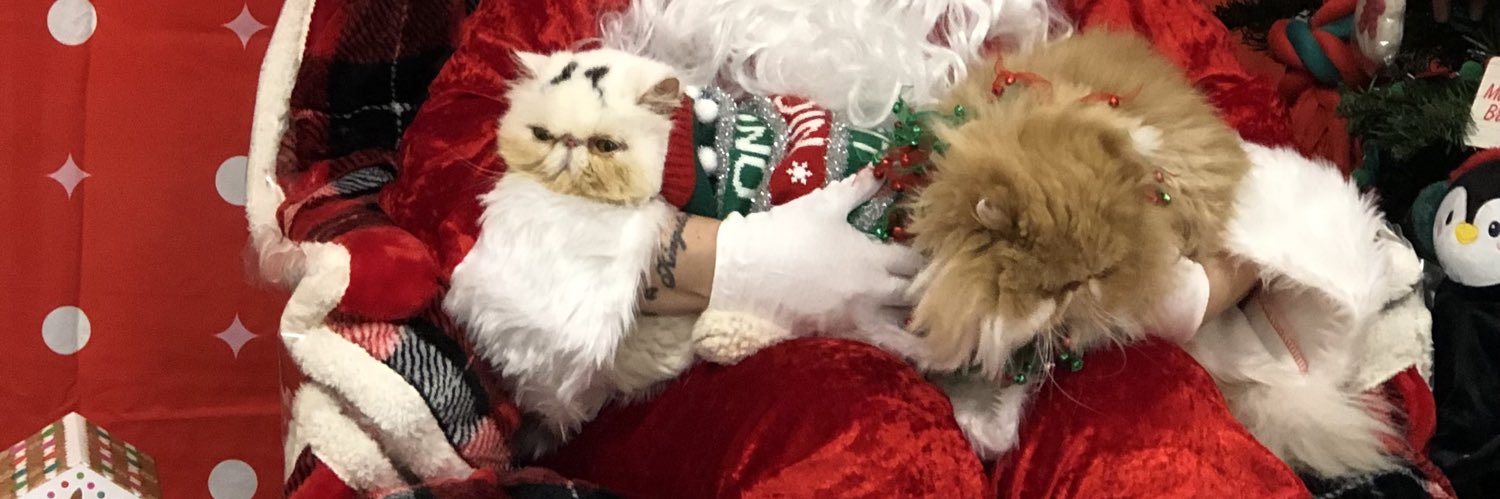 2PodcastCats's profile banner image