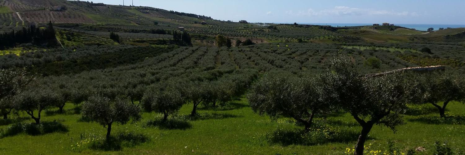 marcobarbera83's profile banner image