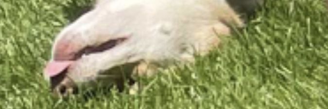 reid0777's profile banner image