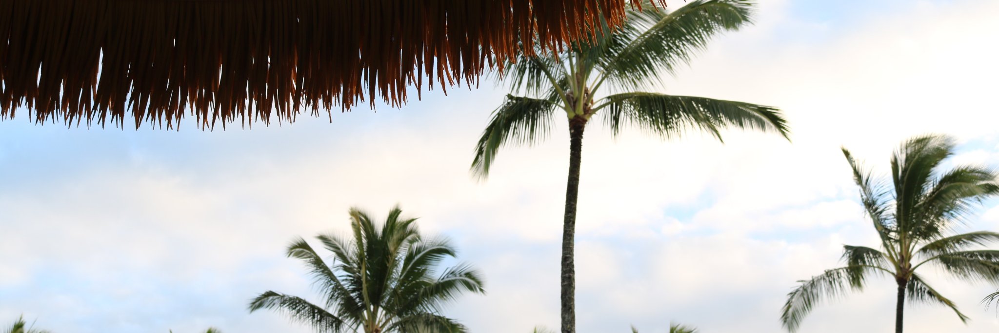 ashtonwilburn's profile banner image