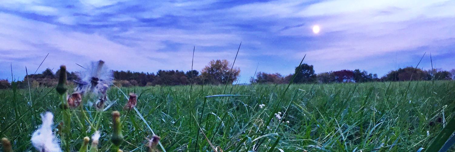 lizzyblanchard's profile banner image