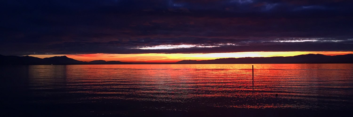 feeriver_'s profile banner image