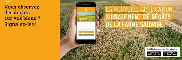 cda57 Profile Banner