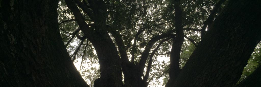TragicJingles's profile banner image