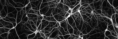 TheInteraliaCentre banner