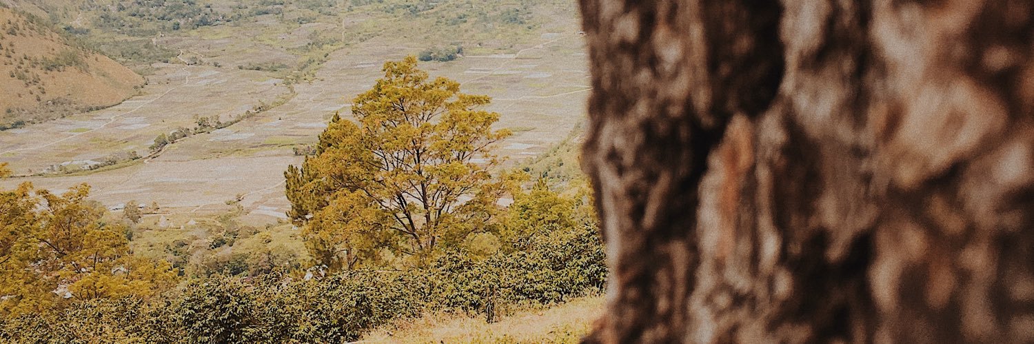 Dwi_Manullang's profile banner image