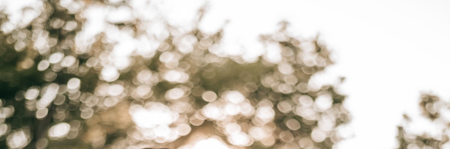charxann's profile banner image