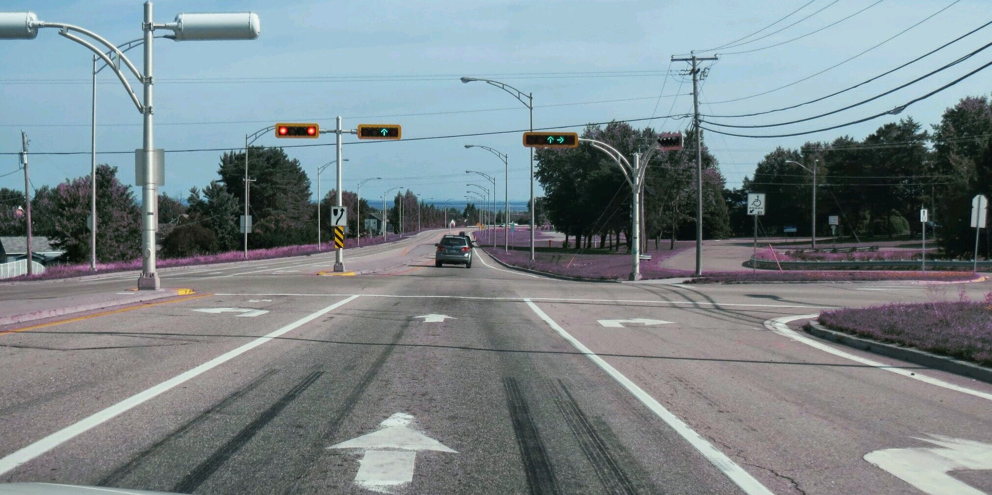 Marcin Gabrys banner