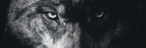 Helix_W Profile Banner