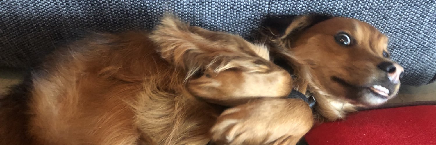 technofantasy banner