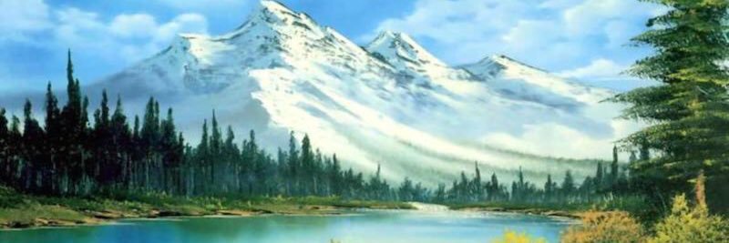 dray_tyler's profile banner image