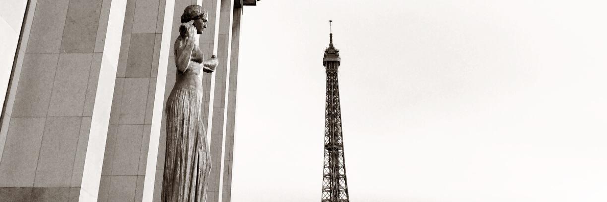 Arlecchinetta's profile banner image