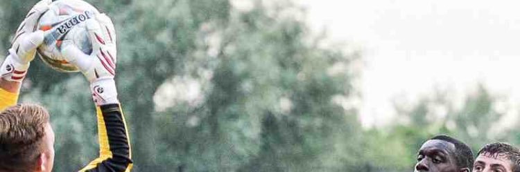 DarylFish1's profile banner image