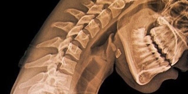 back2health's profile banner image