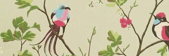 EmmaVMurphy's profile banner image