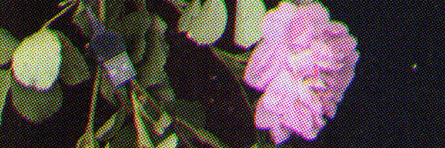 BezymnaN's profile banner image