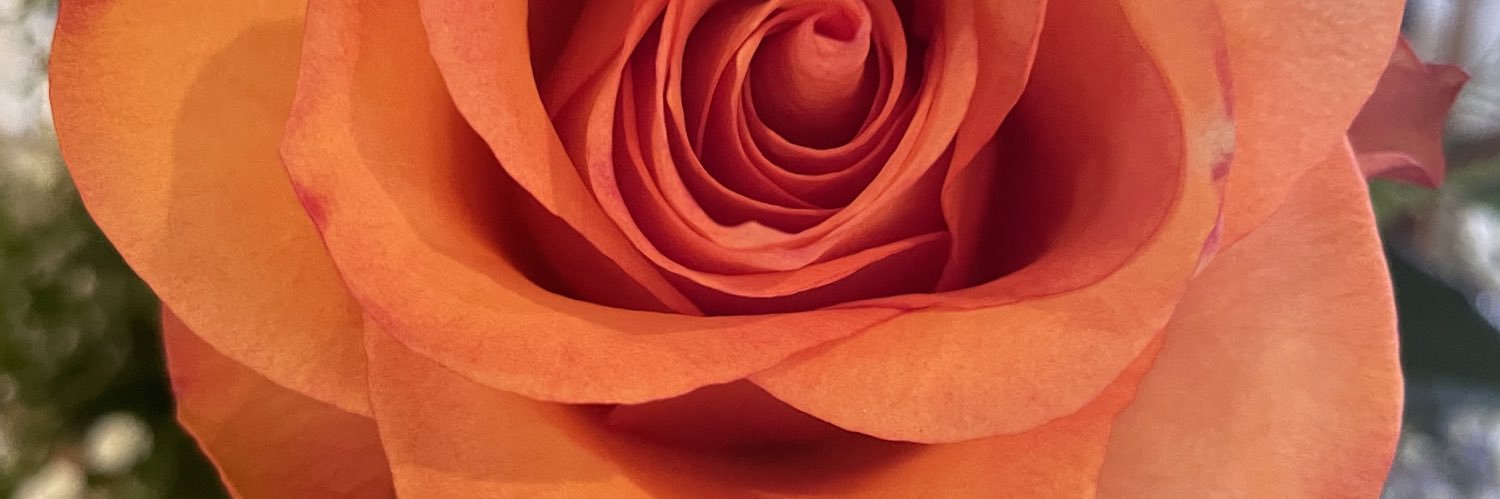 MollyLane7's profile banner image